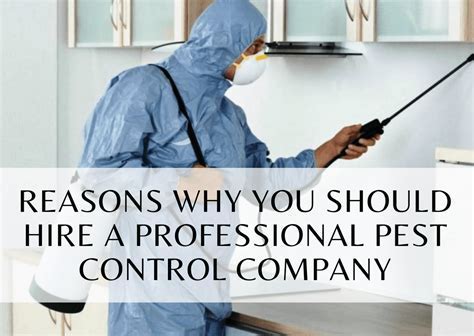 Seeking Professional Assistance: Knowing When to Hire a Pest Control Expert