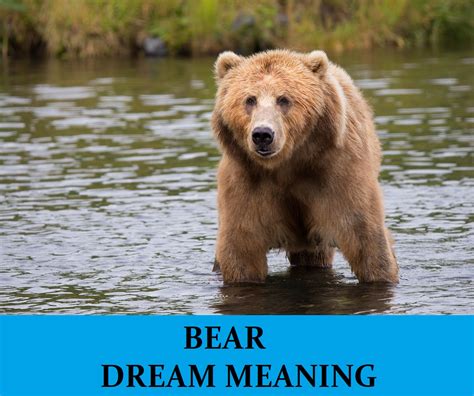 Seeking Professional Assistance to Decipher Intricate Bear Dreams