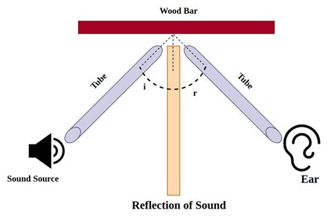Seeking Professional Help for Sound Reflection Issues