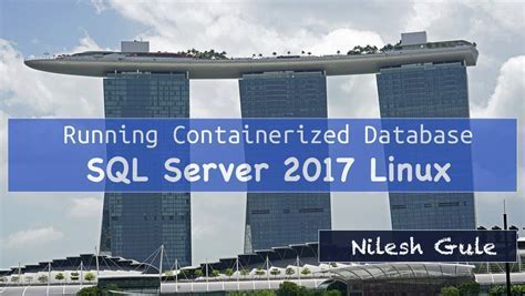 Setting Up a New User in a Dockerized MySQL Environment on Linux