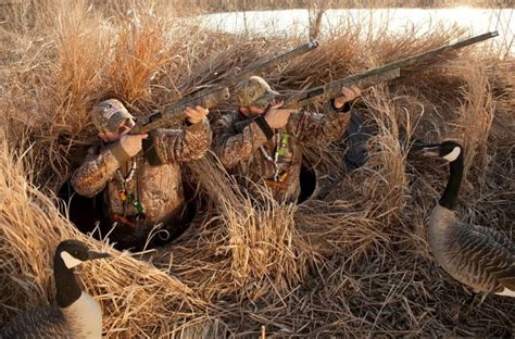 Setting Up an Effective Duck Hunting Blind: Ensuring Success in Any Environment