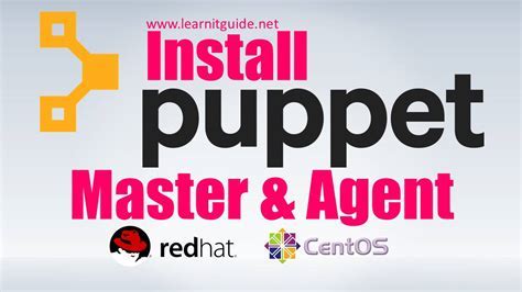 Setting Up the Puppet Server: A Comprehensive Installation and Configuration Guide for Linux