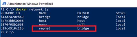 Setting up SQL Server in a Container