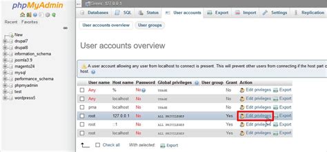 Setting up a MySQL Database with XAMPP