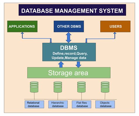 Setting up the Database Management System