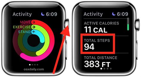 Setting up the Pedometer App on your Apple Device