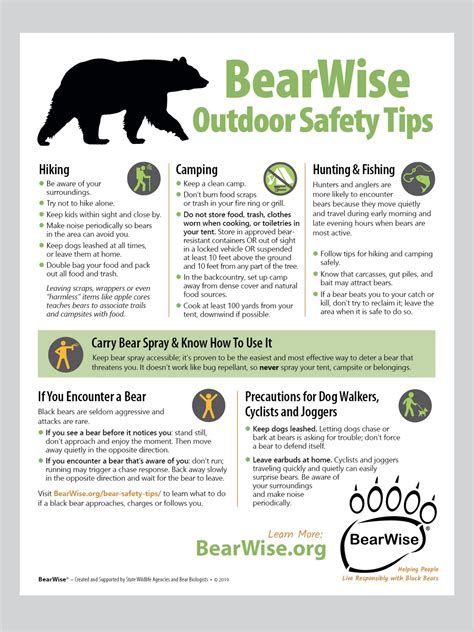 Sharing the Story: Promoting Awareness of Brown Bear Safety