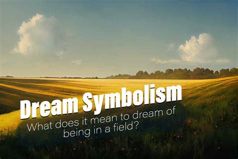 Significance of Fields in Dream Interpretation