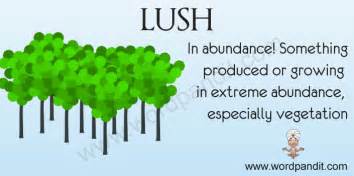 Significance of Lush Verdure during the Chilly Season