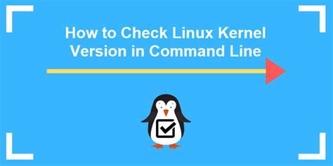 Significance of Opting for the Appropriate Linux Version for Your Server