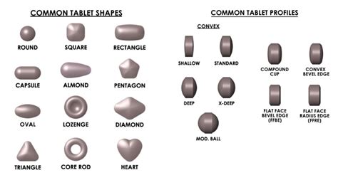 Sketching the Basic Shape of the Tablet