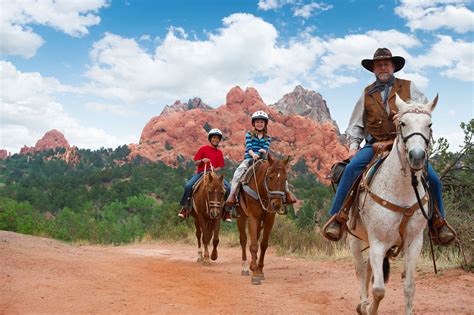 Snowy Adventure: The Breathtaking Experience of Riding a Swift Equine