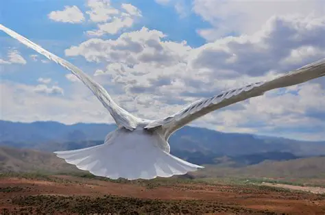 Soaring with the Birds: The Fascinating World of Human Birdmen