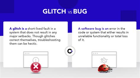 Software bugs or glitches