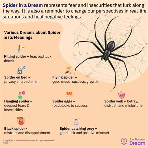 Spider Dreams and Emotions: Exploring the Connection between Fear and Change