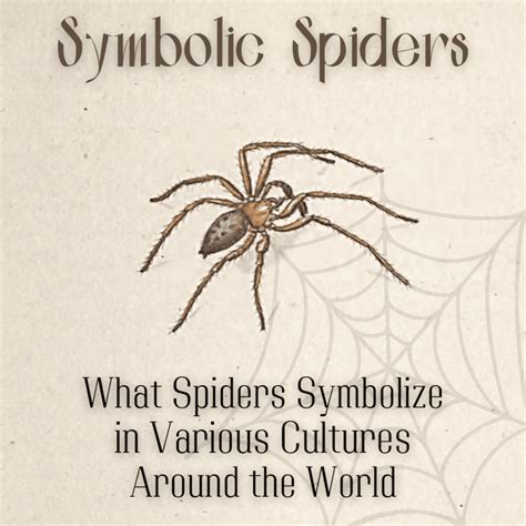 Spider as a Harbinger of Transformation: Decoding its Symbolism