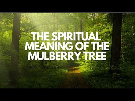 Spiritual Significance of the Mulberry Tree in Islamic Oneirocriticism