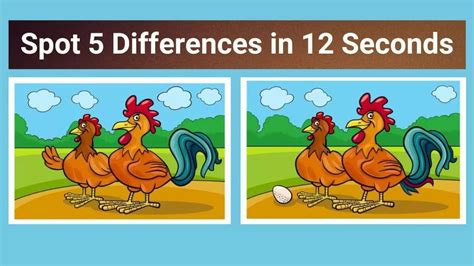 Spotting Differences in Packaging and Accessories