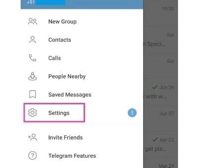 Step 2: Accessing Settings in Telegram App on Apple Devices