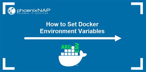 Step 2: Configuring Variable Settings in Docker