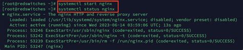 Step 3: Initiate and Enable Nginx Services