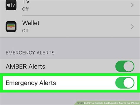 Step 4: Activate Alerts on Your iPhone for the RepoiEpX Application