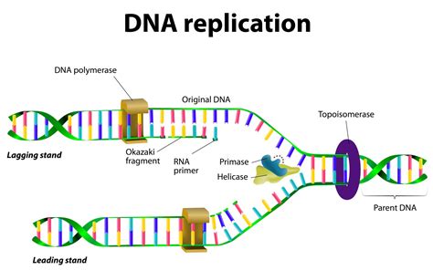 Step 4: Adjusting Replication Frequency and Data Limit