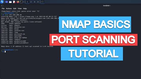 Step 4: Essential Nmap Commands and Scanning Techniques