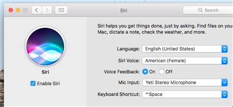 Step 5: Customize Additional Siri Features (Optional)