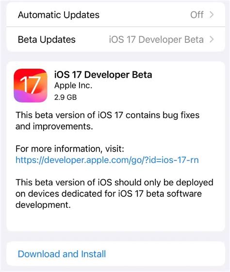 Step 5: Obtain the iOS 17 Developer Beta Software