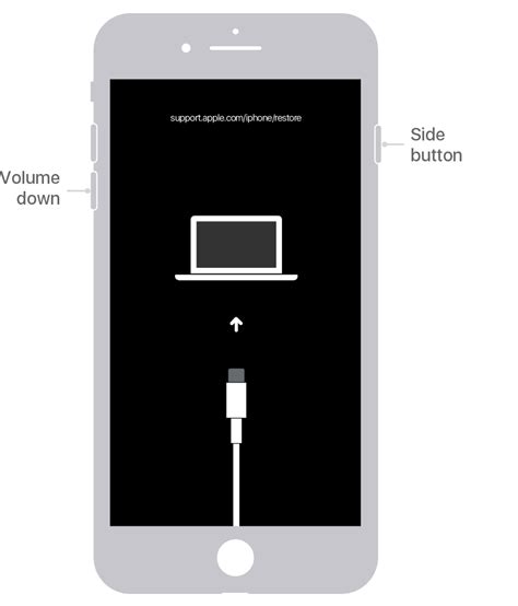 Step-by-Step Guide: Connecting iPhone Display to Personal Computer