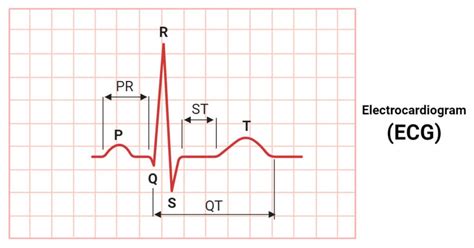 Step-by-step guide to conducting an Electrocardiogram (ECG) using the timepiece's built-in application