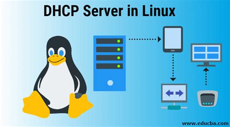 Step-by-step guide to configuring a DHCP server on a Linux system