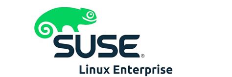 Step-by-step guide to setting up Docker on SUSE Linux Enterprise 15 SP1