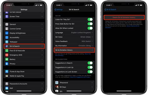 Steps to Erase Siri Logs on your iOS Device