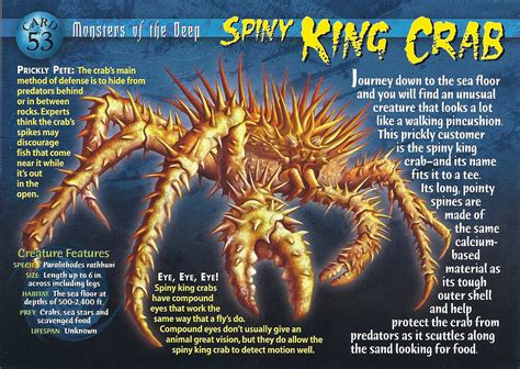 Strange Wonders: An Unconventional Progeny of the Spiny Creature