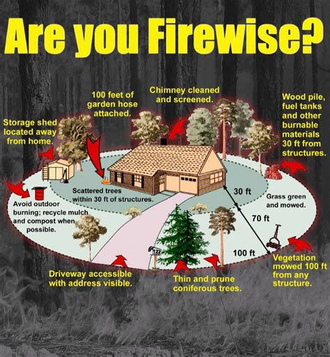 Strategies to Mitigate and Prevent Forest Fires