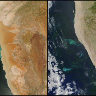 Sulfur Eruptions as a Natural Phenomenon: Scientific Insights