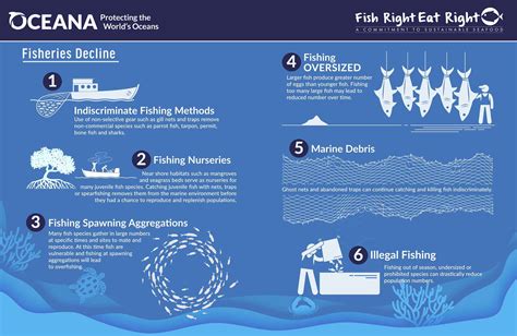 Sustainable Fishing Practices: Striking a Balance between Herring Population and Human Consumption