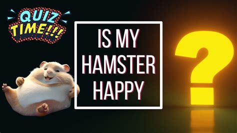 Sweet Dreams: Exploring the Imaginary World of Hamster Happiness