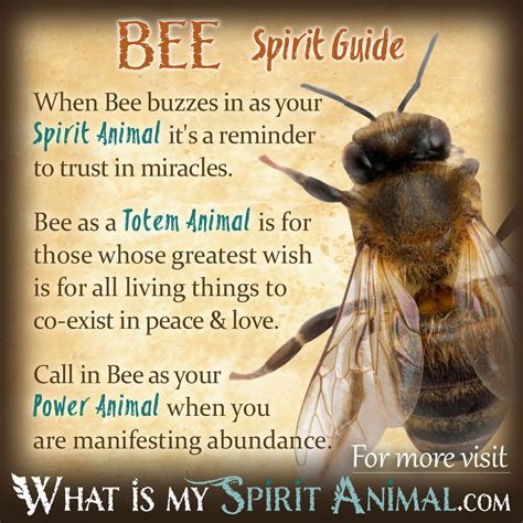 Sweet Dreams: Positive Meanings of Bee Symbolism