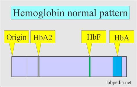 Symbolic Interpretations of Hemoglobin
