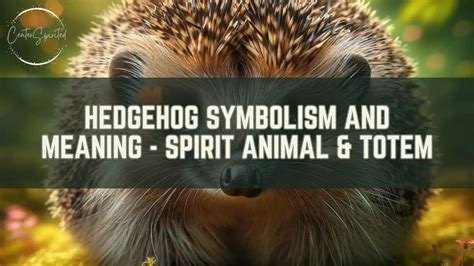 Symbolic Meaning of a Hedgehog in a Reverie