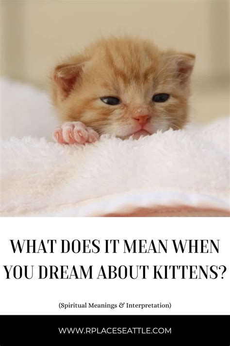 Symbolic Meaning of a Little Kitten in a Woman's Dream