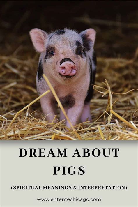 Symbolic Meanings of Pigs in Dream Interpretations