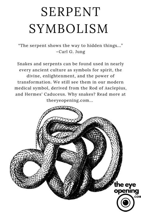 Symbolic Representation: The Significance of Serpents in Portraying Metamorphosis and Personal Exploration within Dreams