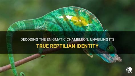 Symbolic Significance: Decoding the Enigmatic Reptile