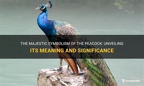 Symbolism and Mystique: Cultural Significance of the Majestic Peacock