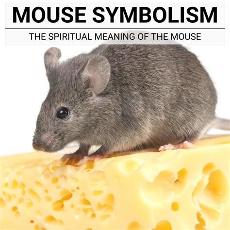 Symbolism of Mice in Psychology