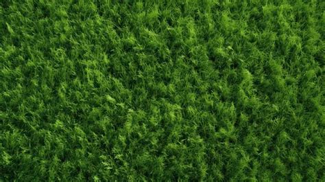 Symbolism of Verdant Turf: An Emblem of Pristine Nature and Tranquility